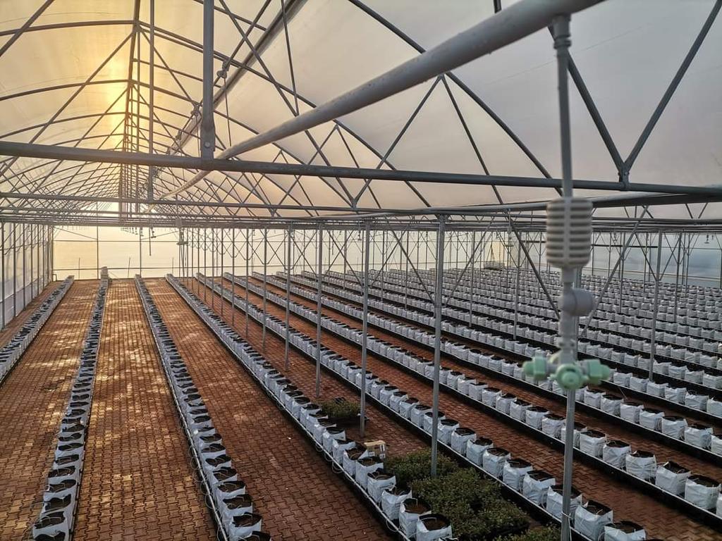 Topraksız%20Tarımlar